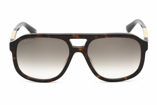 GG1188S HAVANA / BROWN GRADIENT